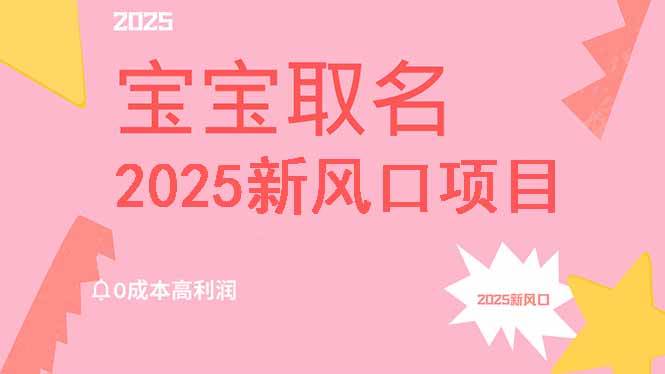 （14593期）2025新风口项目宝宝取名，0成本高利润，附保姆级教程，月入过万不是梦网赚项目-副业赚钱-互联网创业-资源整合白嫖の网赚